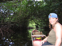 The Mangrove Forest