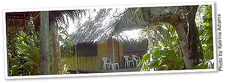 Kosrae Village Ecolodge & Dive Resort Cottage