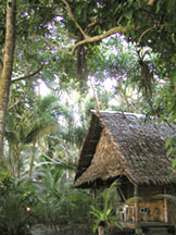 Kosrae Village Ecolodge & Dive Resort Grounds