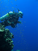 Cruzin the Healthy Kosrae Reef