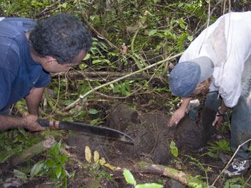 Uncovering a compound