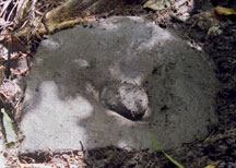 food prep stone, complete with pounding stone