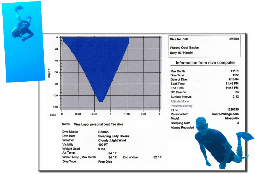 Wes lapp Personal Best Dive Profile