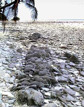 Remains of Ancient Structure on Kosrae